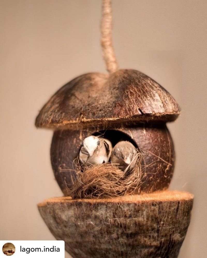 Buy Tanya Coconut Bird Feeder | Shop Verified Sustainable Bird Feeder on Brown Living™