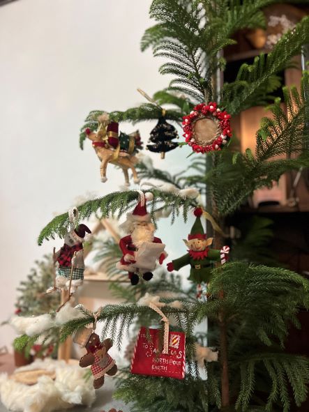 Terra Grow Me Christmas Ornaments | Verified Sustainable by Brown Living™