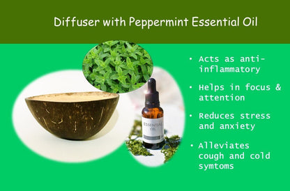 Terracotta Aroma Diffuser - Peppermint Essential Oil - Passive Diffuser | Verified Sustainable by Brown Living™