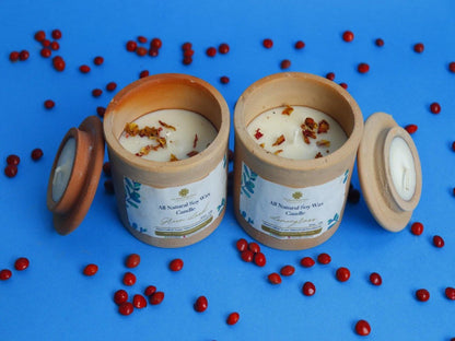Terracotta Jar Candles with Crystals Set of 2 | Verified Sustainable by Brown Living™