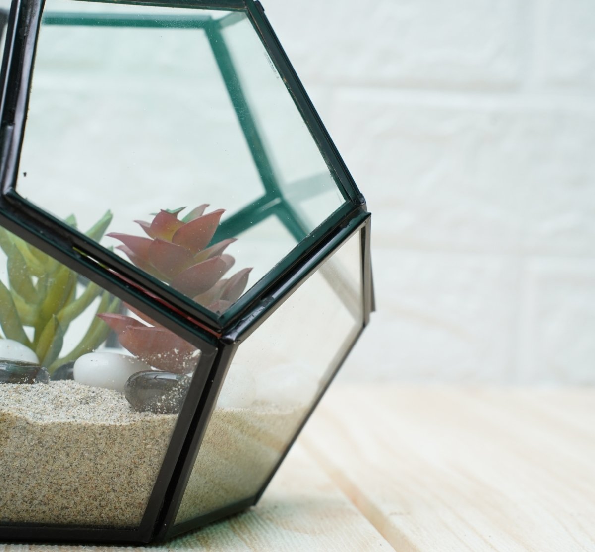 Terrarium Glass Containers - Black Fullerene | Verified Sustainable by Brown Living™