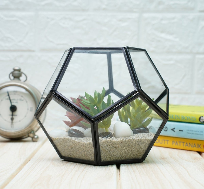 Buy Terrarium Glass Containers with Terrarium Grow Kit (Black Fullerene) | Shop Verified Sustainable Products on Brown Living
