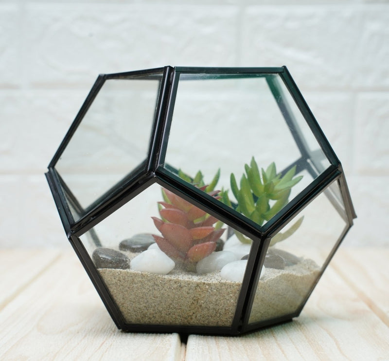 Buy Terrarium Glass Containers with Terrarium Grow Kit (Black Fullerene) | Shop Verified Sustainable Pots & Planters on Brown Living™