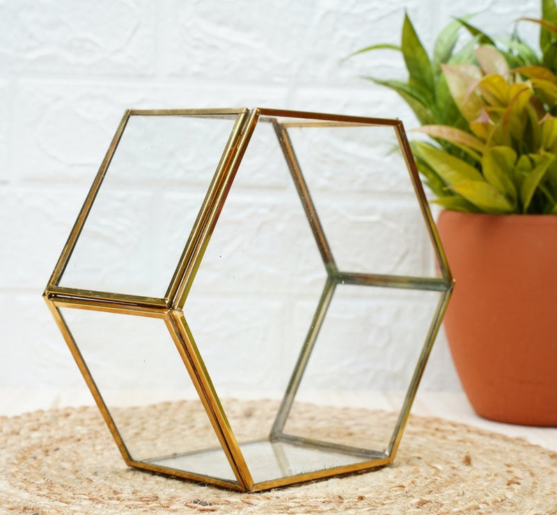 Buy Terrarium Glass Containers with Terrarium Grow Kit (Golden Betel) | Shop Verified Sustainable Pots & Planters on Brown Living™