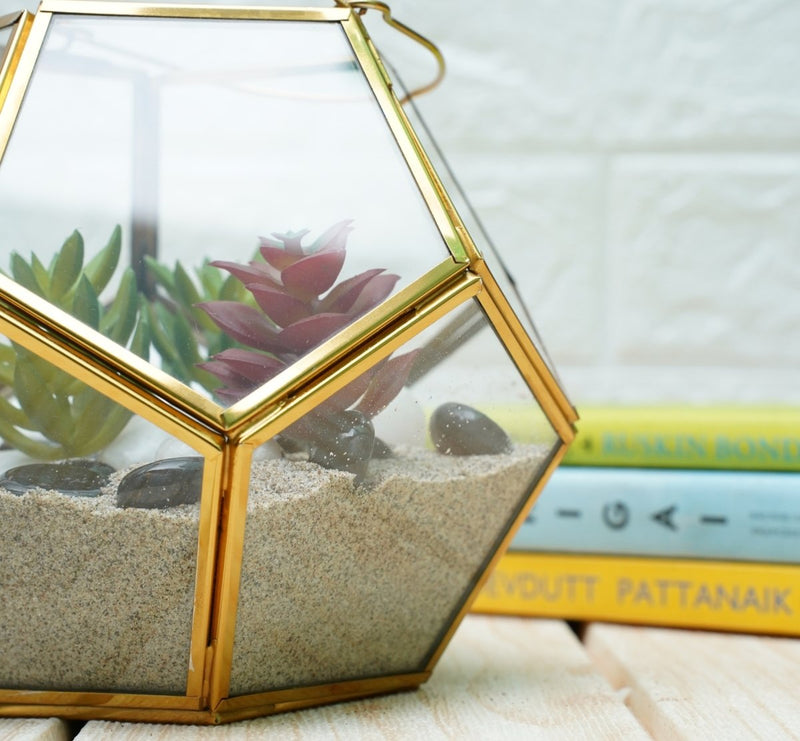 Buy Terrarium Glass Containers with Terrarium Grow Kit (Golden Fullerene) | Shop Verified Sustainable Pots & Planters on Brown Living™
