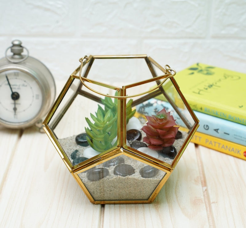 Buy Terrarium Glass Containers with Terrarium Grow Kit (Golden Fullerene) | Shop Verified Sustainable Pots & Planters on Brown Living™