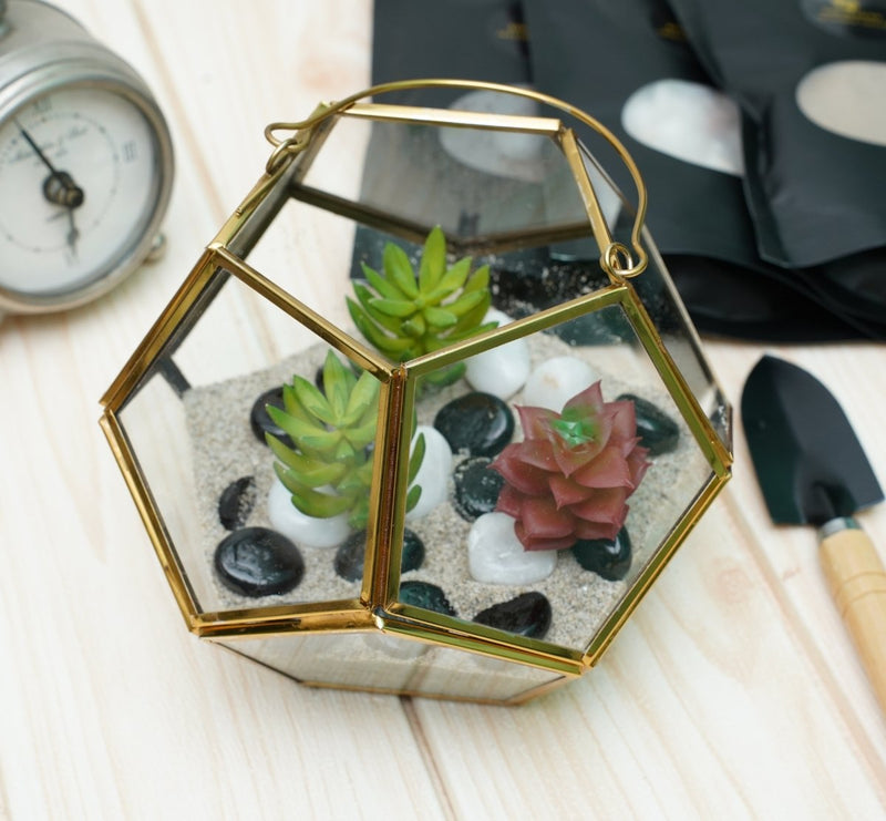 Buy Terrarium Glass Containers with Terrarium Grow Kit (Golden Fullerene) | Shop Verified Sustainable Products on Brown Living