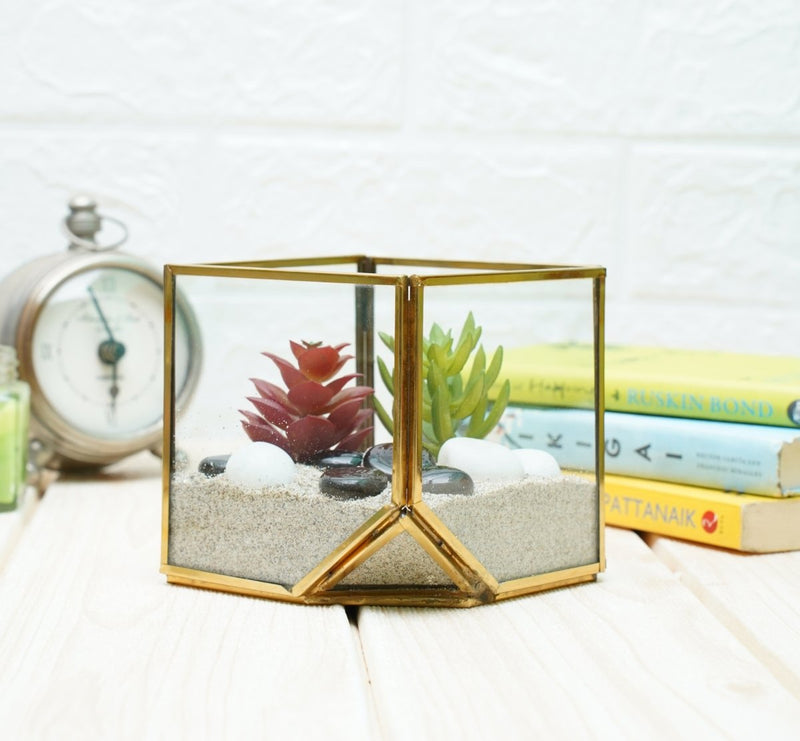 Buy Terrarium Glass Containers with Terrarium Grow Kit (Golden Square) | Shop Verified Sustainable Products on Brown Living