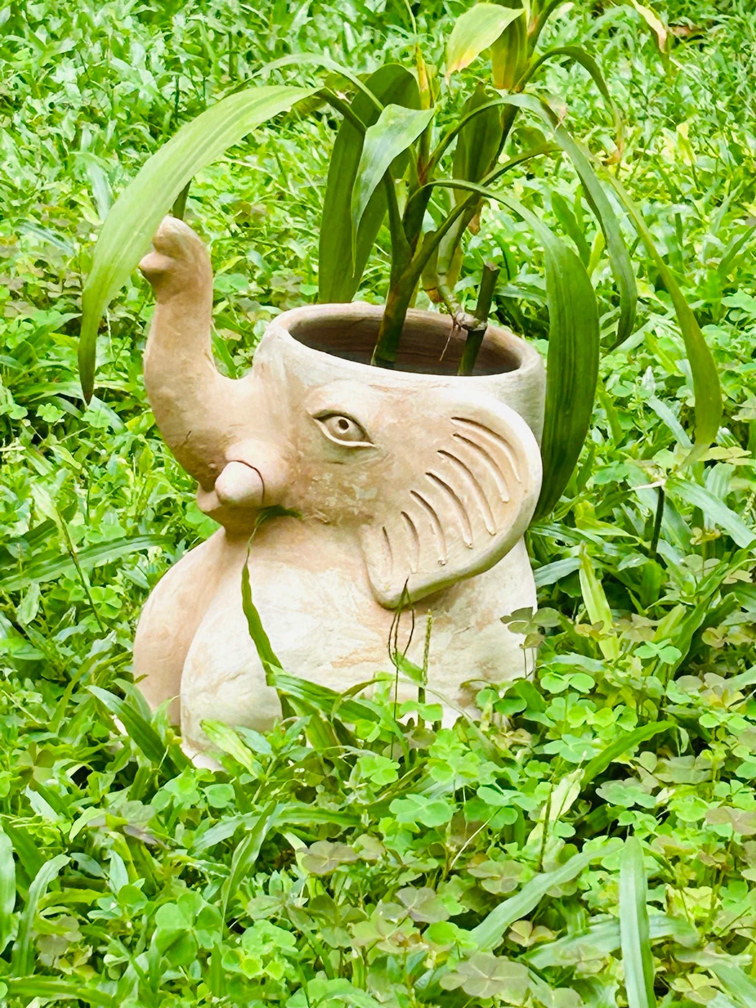 Tusker Elephant Earthern Planter | Verified Sustainable by Brown Living™