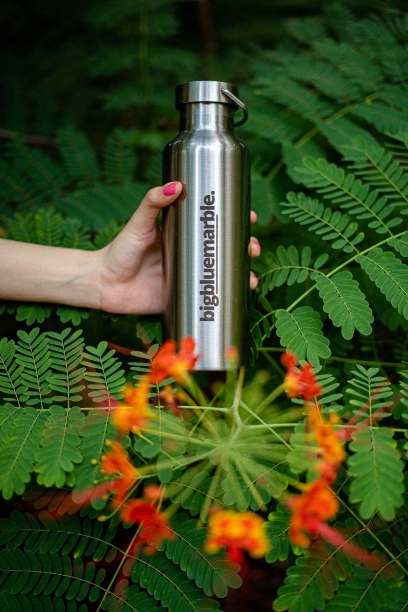 Buy Vacuum Insulated Stainless Steel Water Bottle - 850 mL | Shop Verified Sustainable Bottles & Sippers on Brown Living™