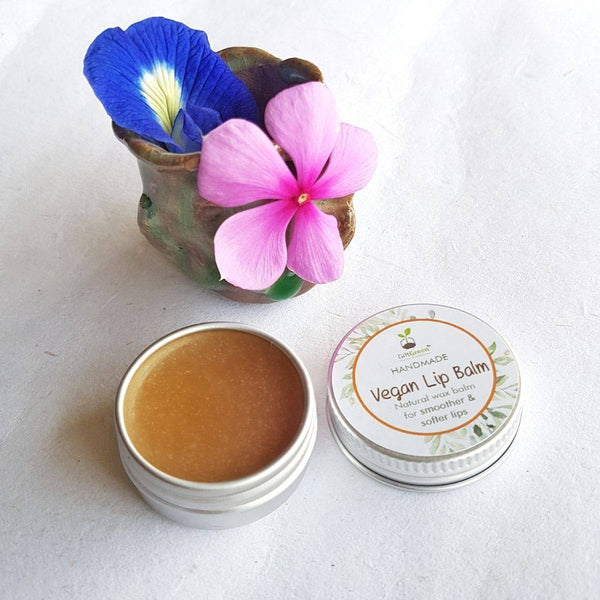 Buy Vegan Lip Balm | Shop Verified Sustainable Products on Brown Living