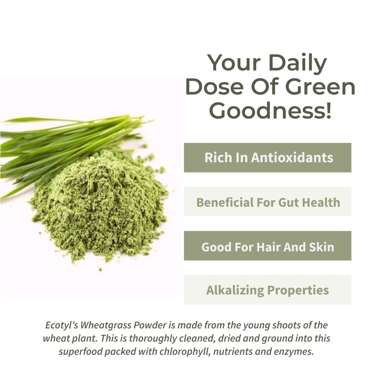 Wheatgrass Powder | Superfood for Immunity & Detox - 100g | Verified Sustainable by Brown Living™