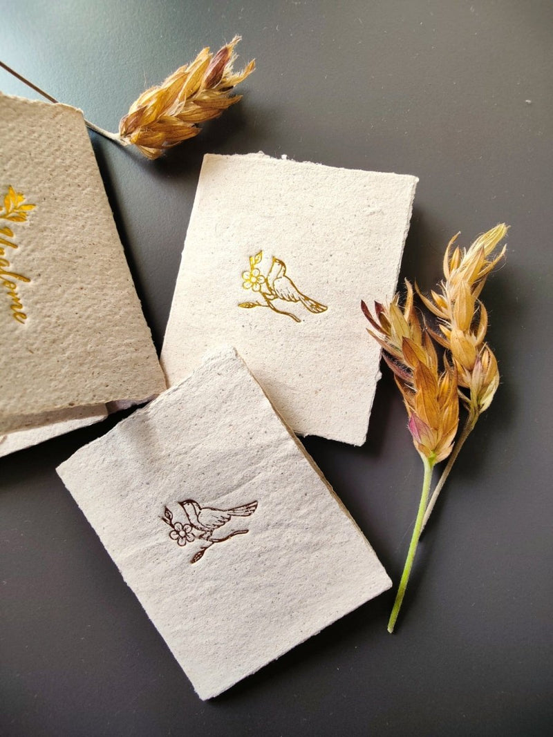 Buy Wish Cards in Banana Pulp Paper | Shop Verified Sustainable Products on Brown Living