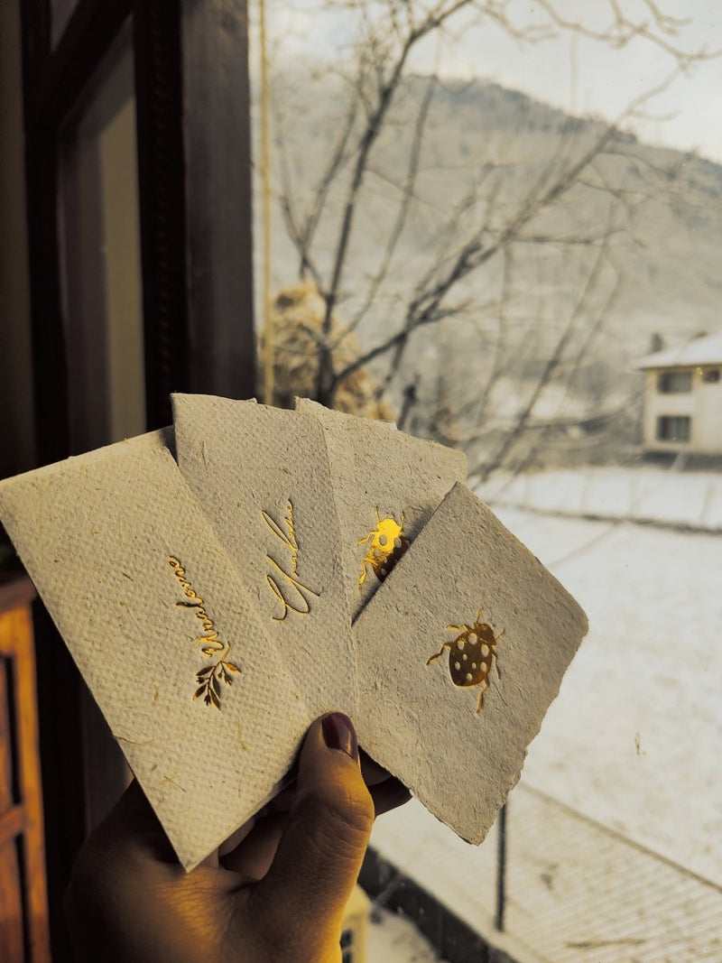Buy Wish Cards in Sugarcane Pulp Paper- Lady Bug | Shop Verified Sustainable Products on Brown Living