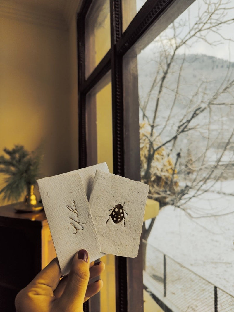 Buy Wish Cards in Sugarcane Pulp Paper- Lady Bug | Shop Verified Sustainable Products on Brown Living