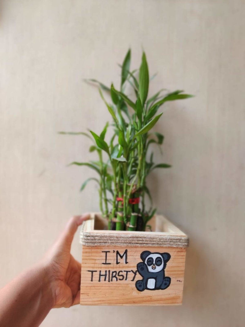 Buy Wooden Square Planter- Pine Wood | Shop Verified Sustainable Products on Brown Living