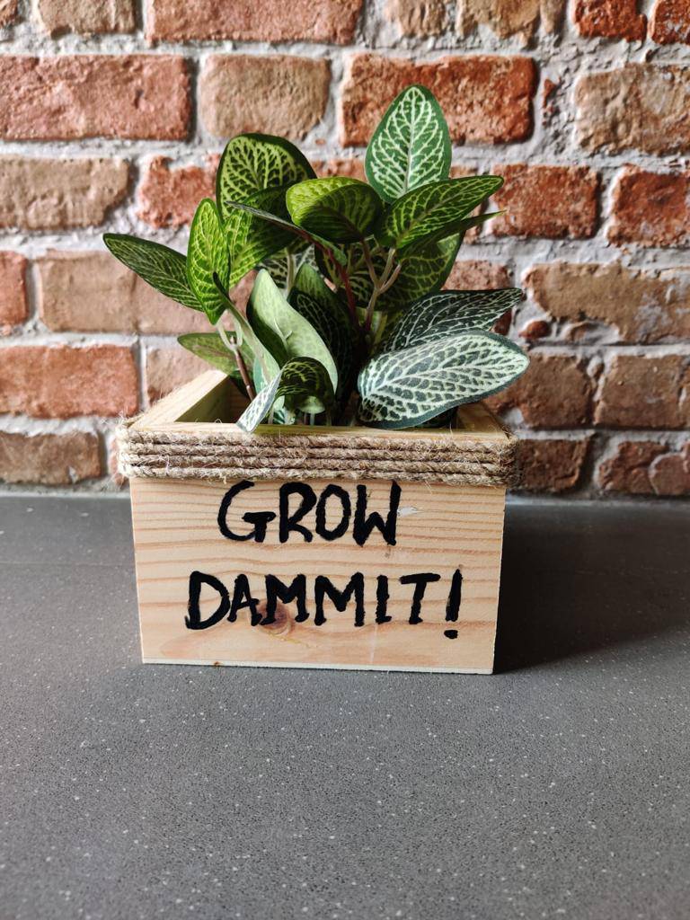 Wooden Square Small Planter: Grow Dammit | Verified Sustainable by Brown Living™