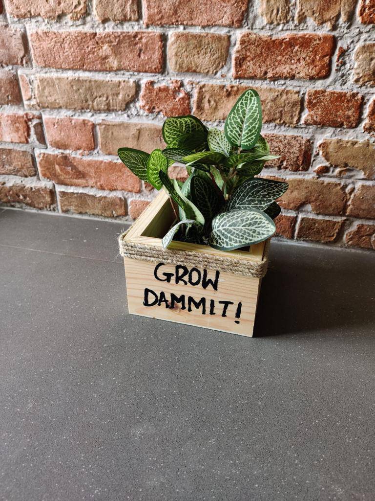 Wooden Square Small Planter: Grow Dammit | Verified Sustainable by Brown Living™